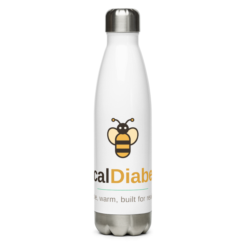 Stainless Steel Bottle (17oz)